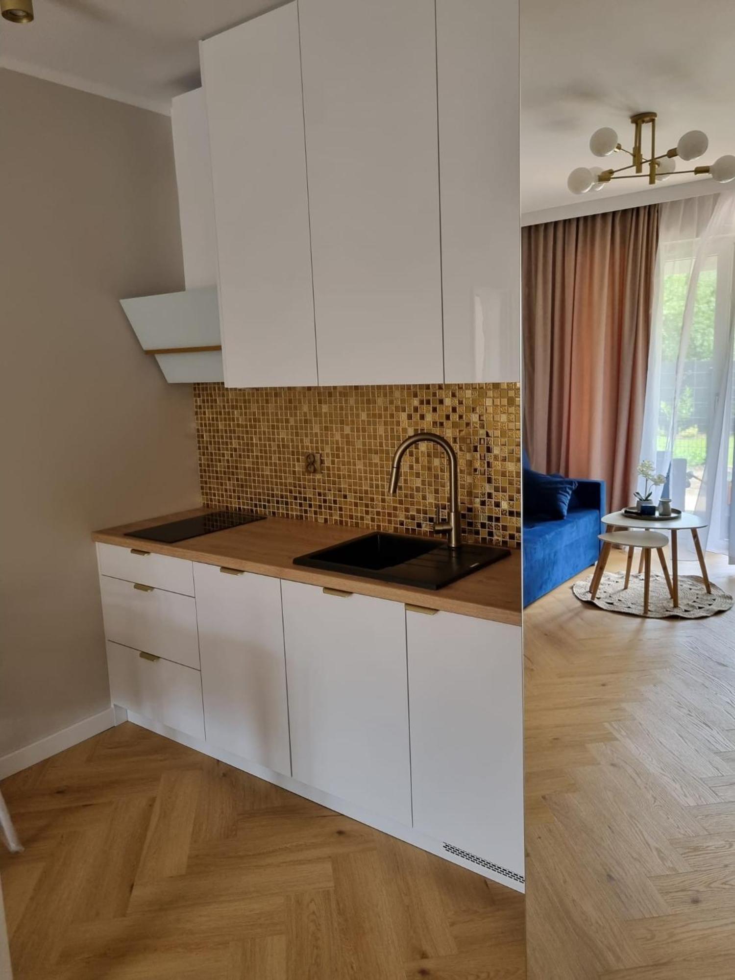 Baltic Waves Resort Baseny Bawialnia Silownia Garaz W Cenie 米兹多洛杰 外观 照片